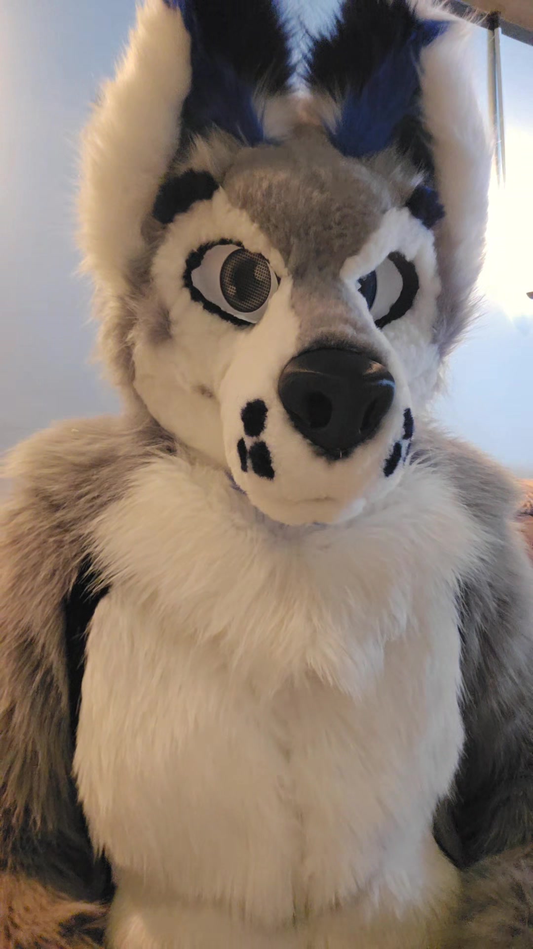 @muttsi