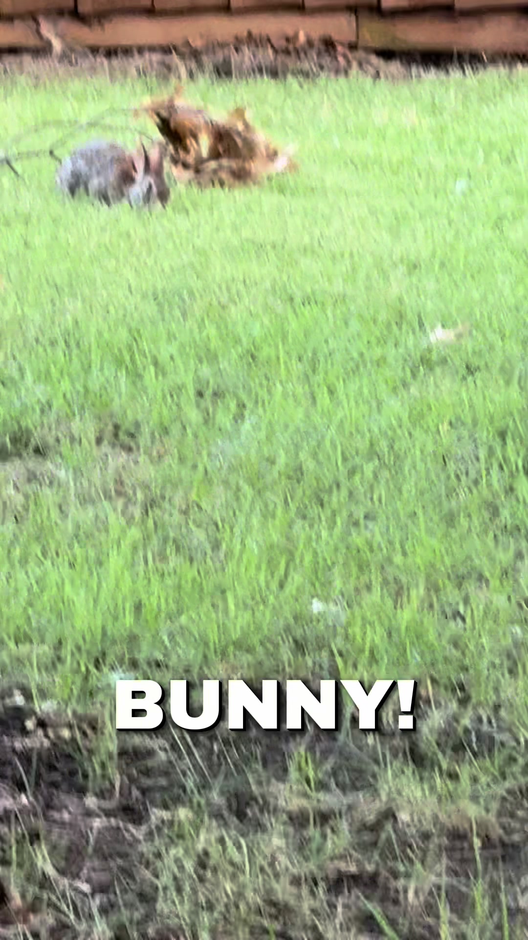 @Chrisdeza08