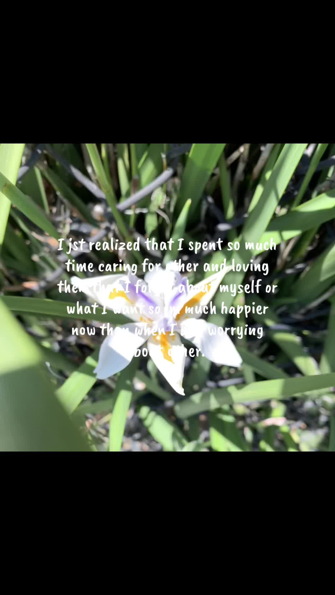 @ꨄ 𝓢𝓀𝓎🐾