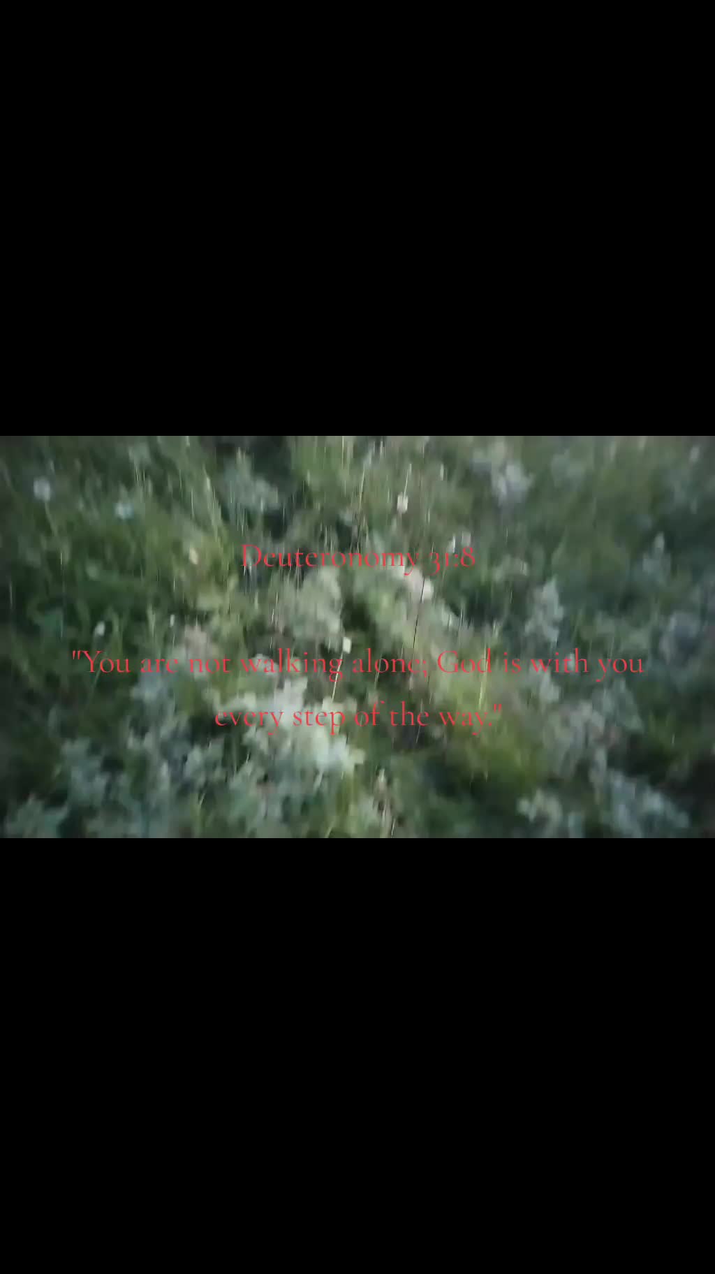 @xzw._.q✨✝️
