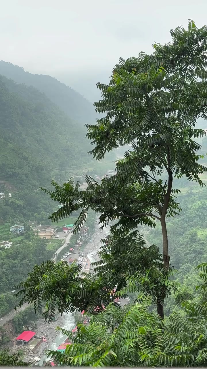 @B7F乛حسيب
