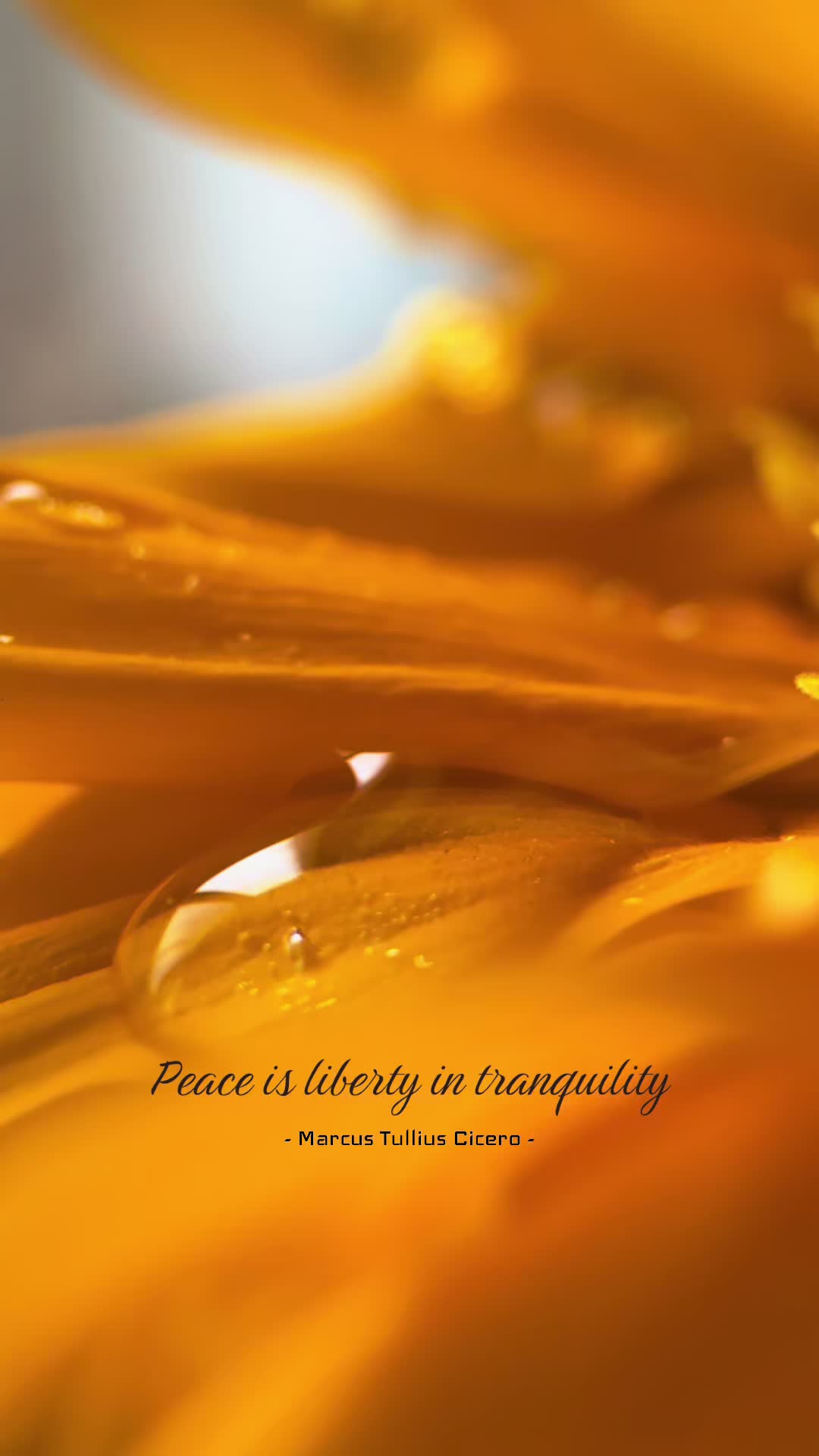 @auntypositivity