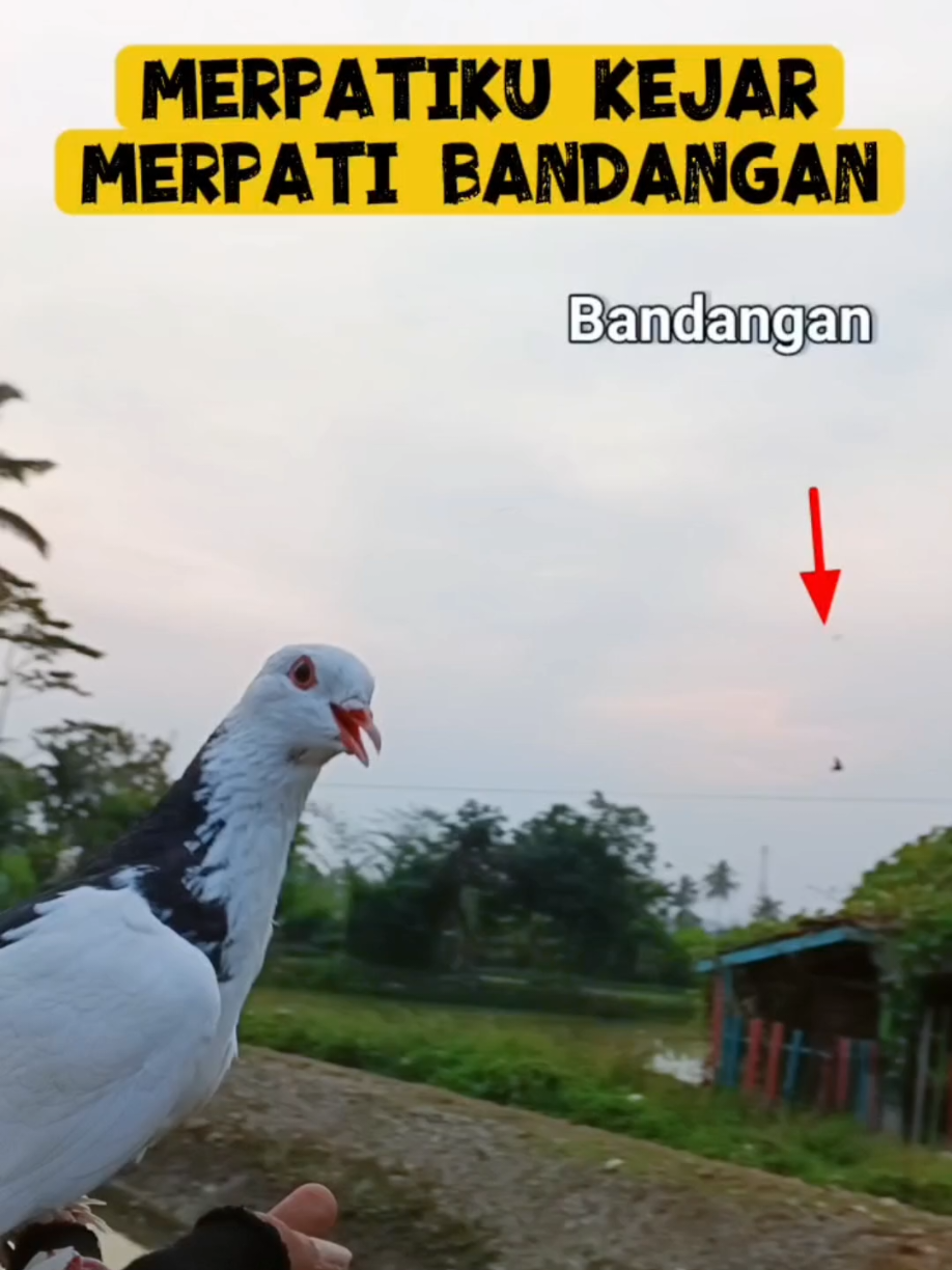 @BANG LEYON