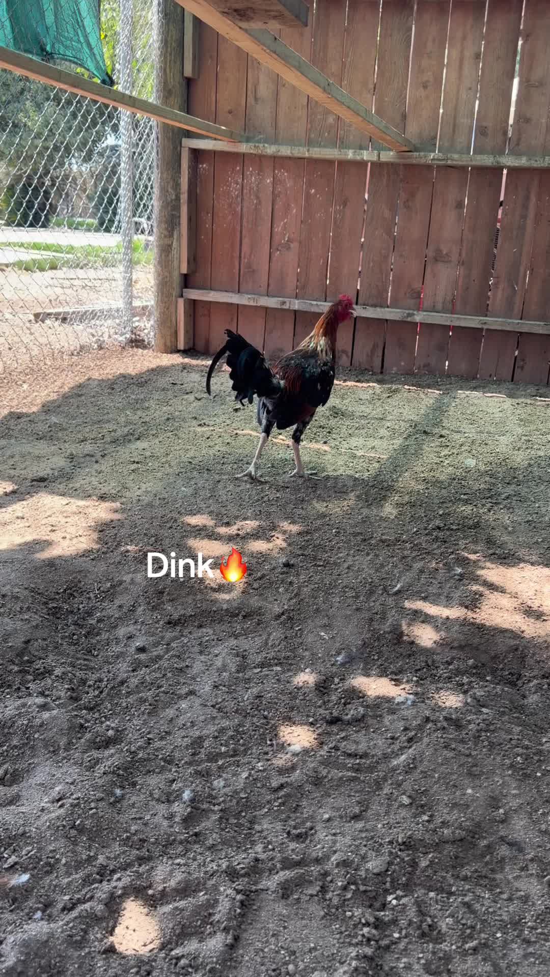 @Stranger Game Farm