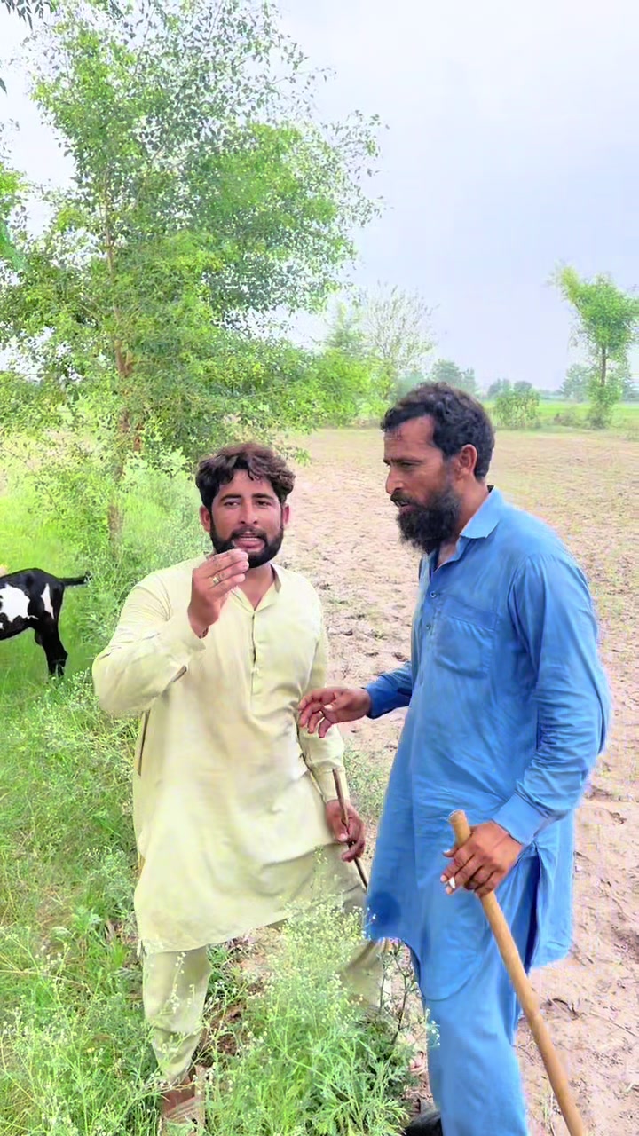 @پینڈو بوائز 378