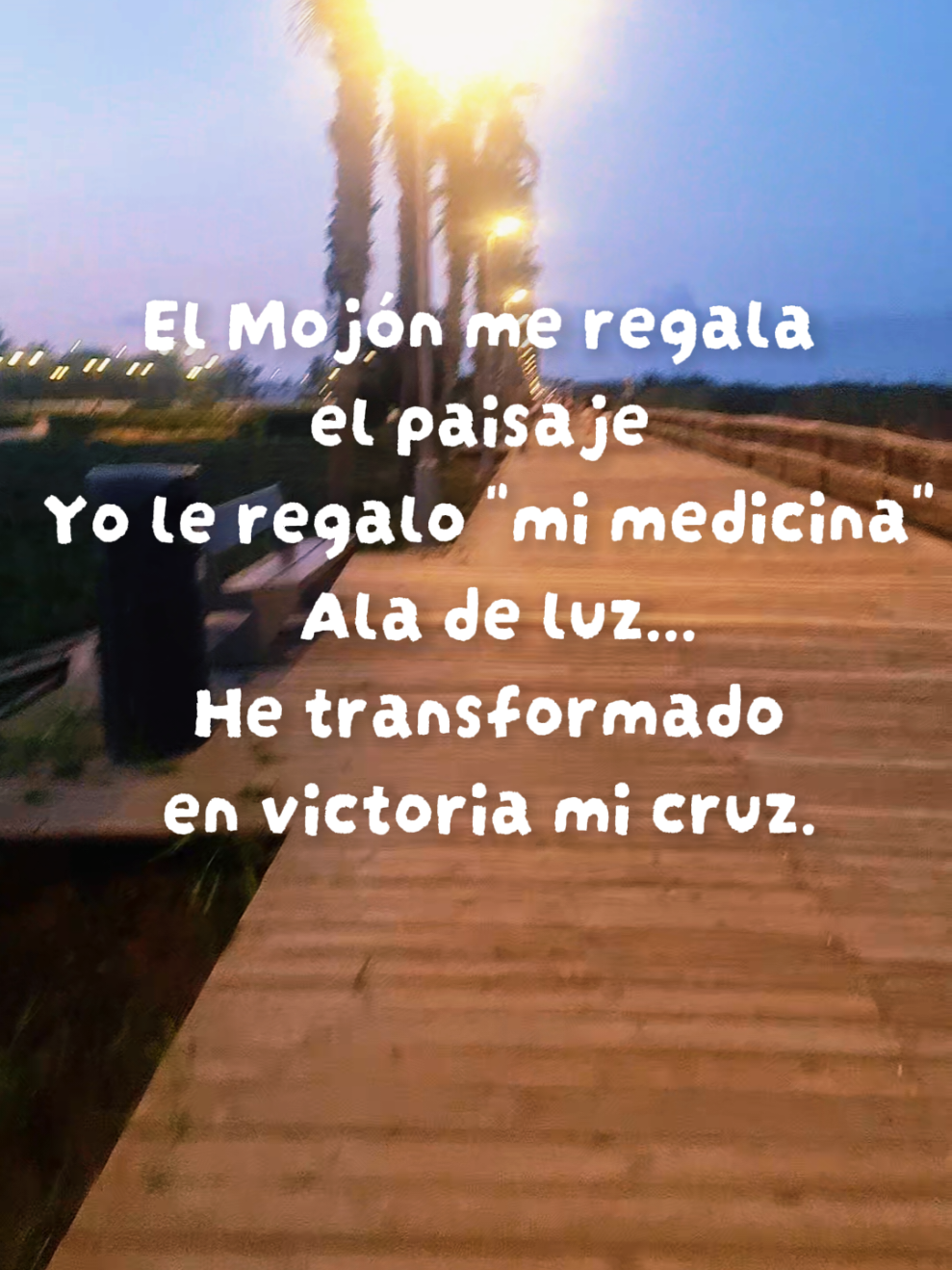 @Anamaria Toncean