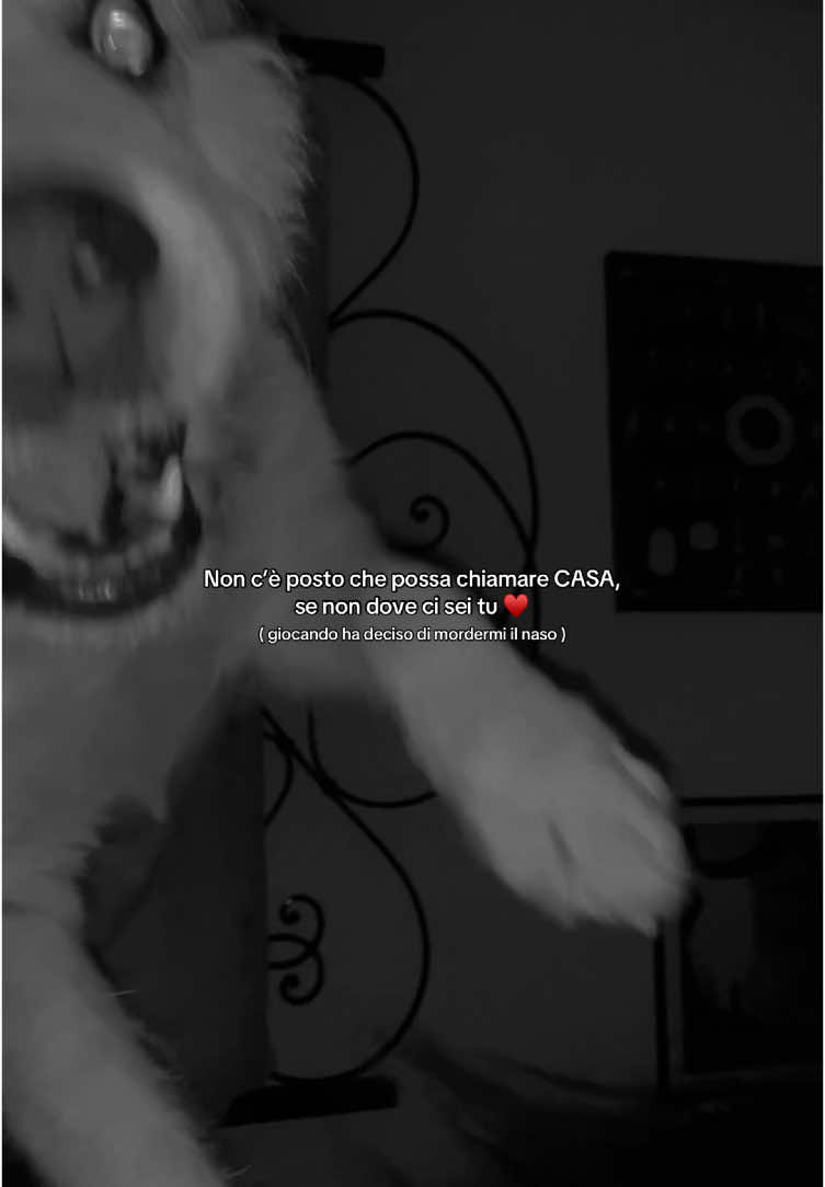 @Pao 🤍🥥🧸