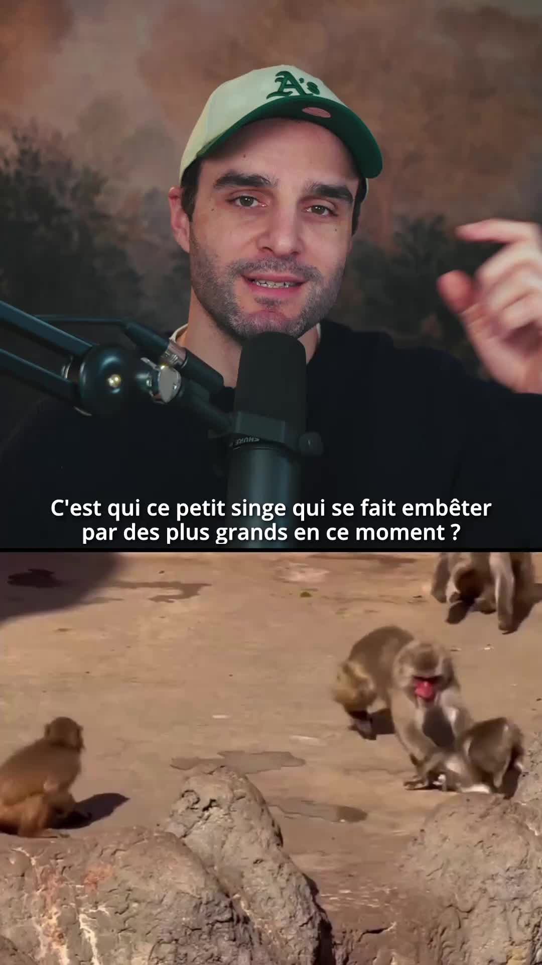 @Nozman