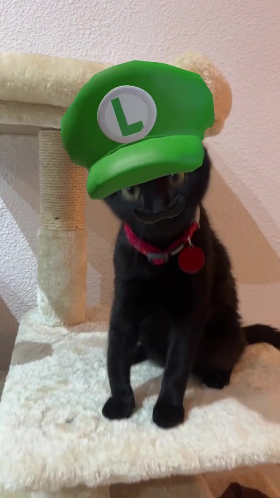 @AryaBlackCat13
