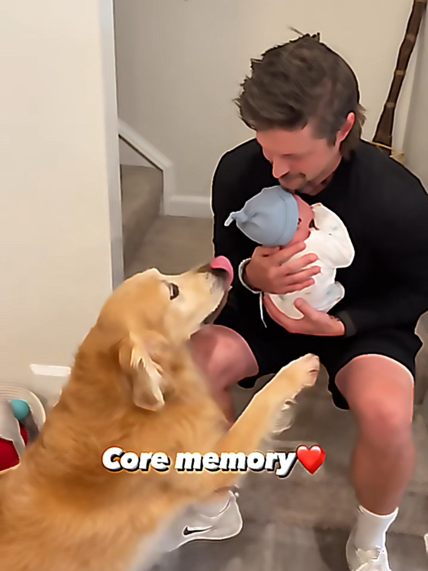 @dogmomentsdaily
