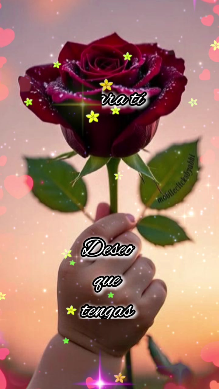 @Paloma Rodriguez 🌹