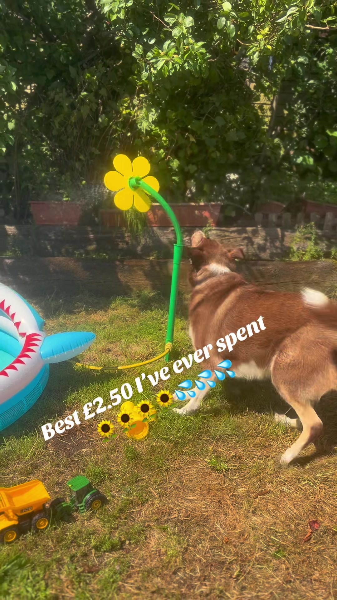 @Wee G ๐
