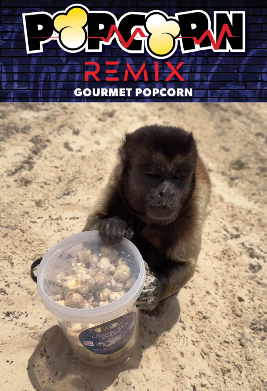 @Popcorn Remix