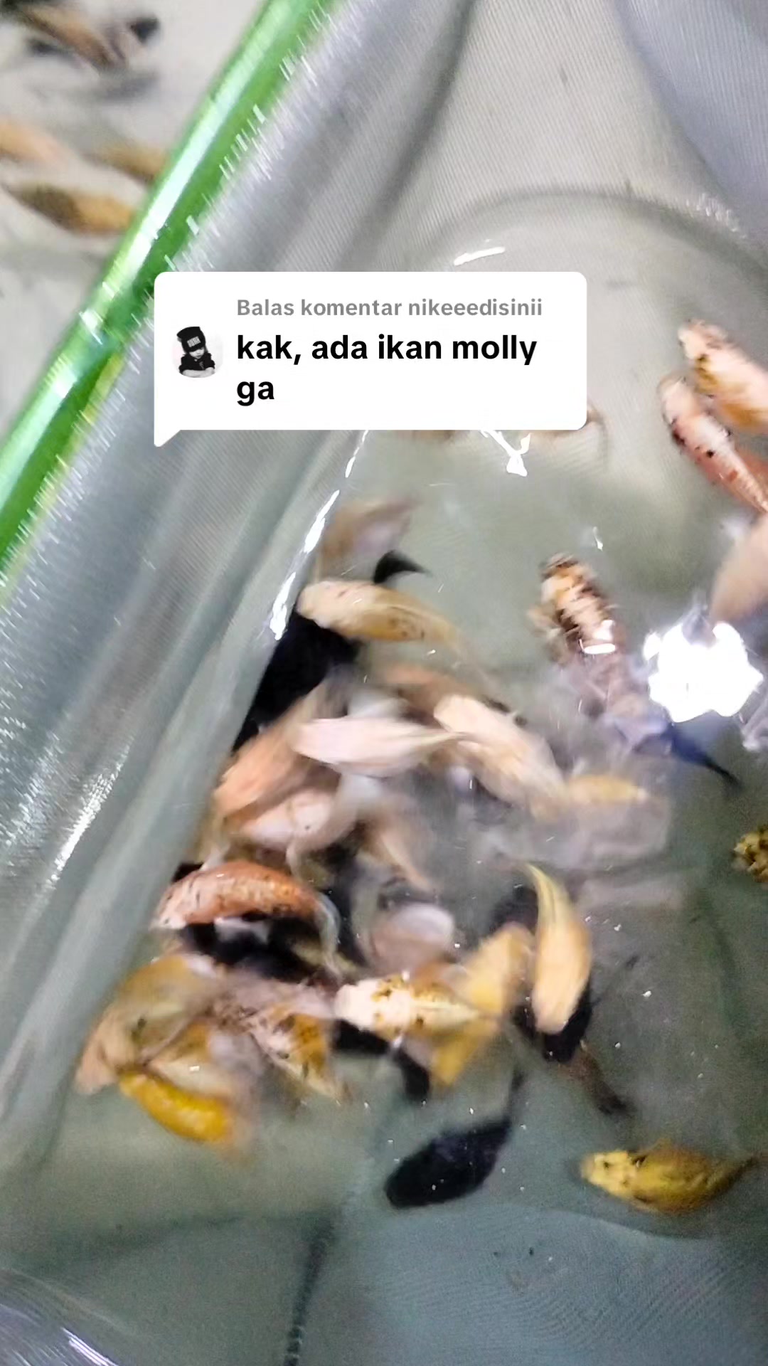 @UniJambi_Aquarium