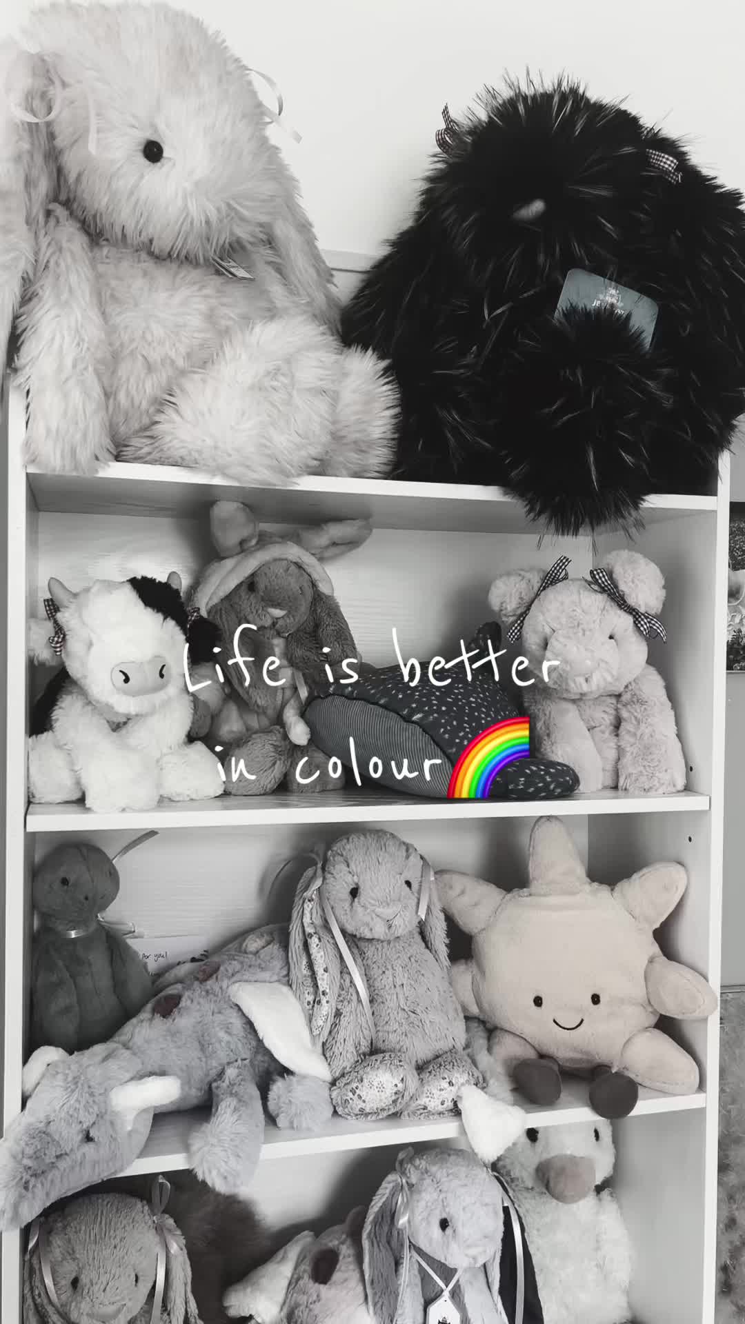 @DarceysJellycats✨