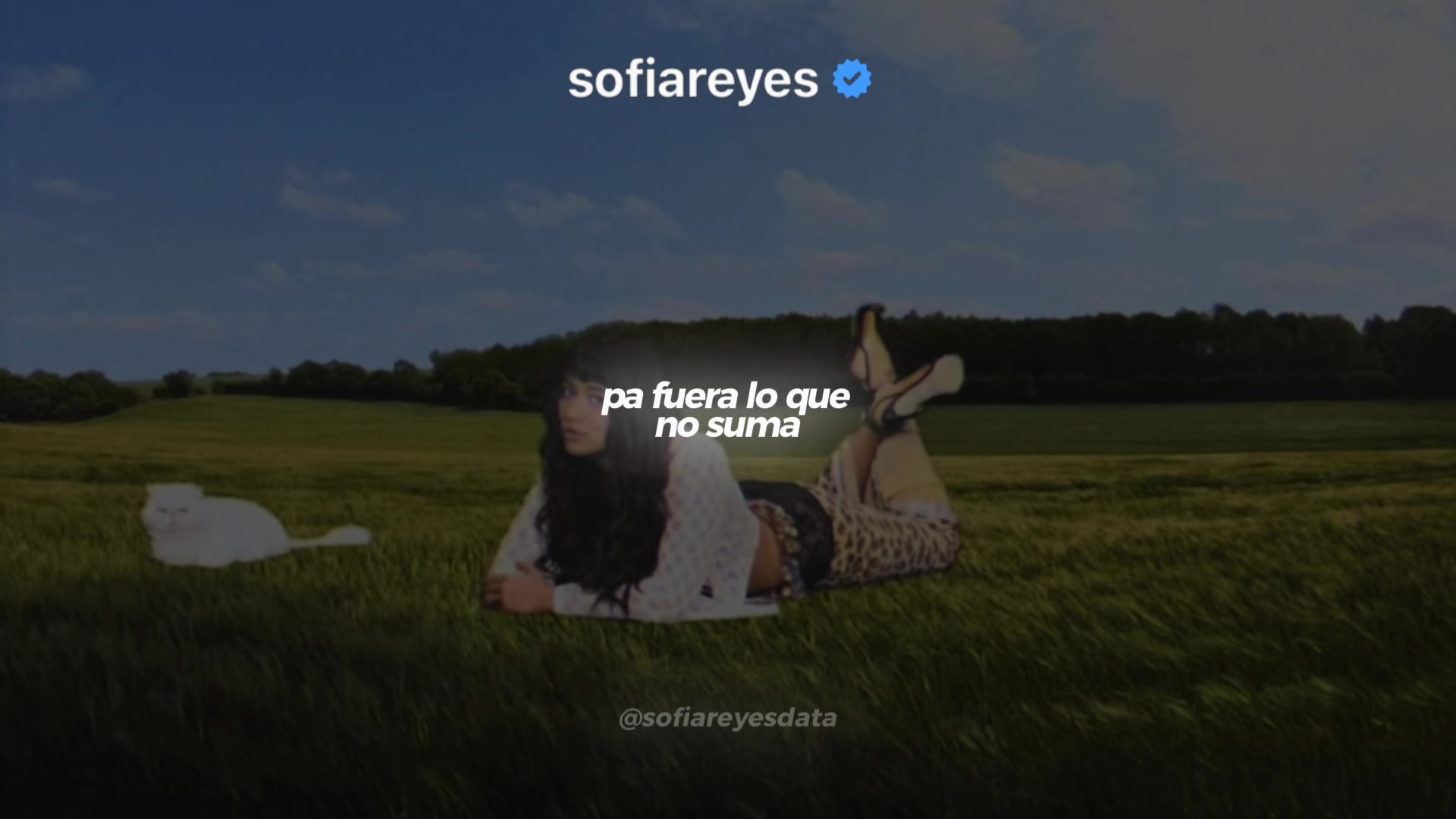 @Sofía Reyes Data