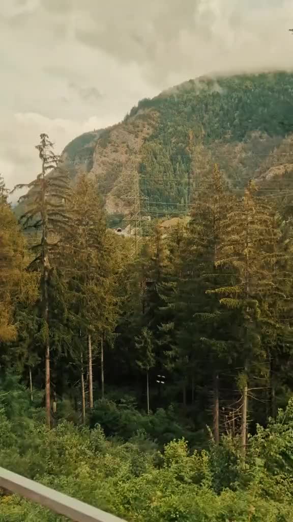 @🏔𝕯𝖊𝖛𝖎𝖑 𝕬𝖓𝖌𝖊𝖑🏔