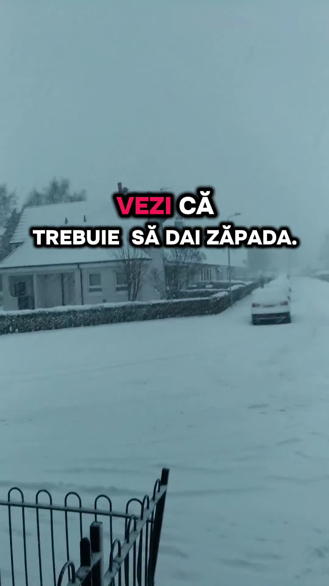 @Kosta✅