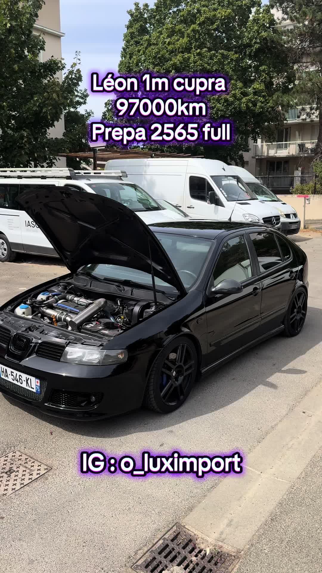 @O_luximport