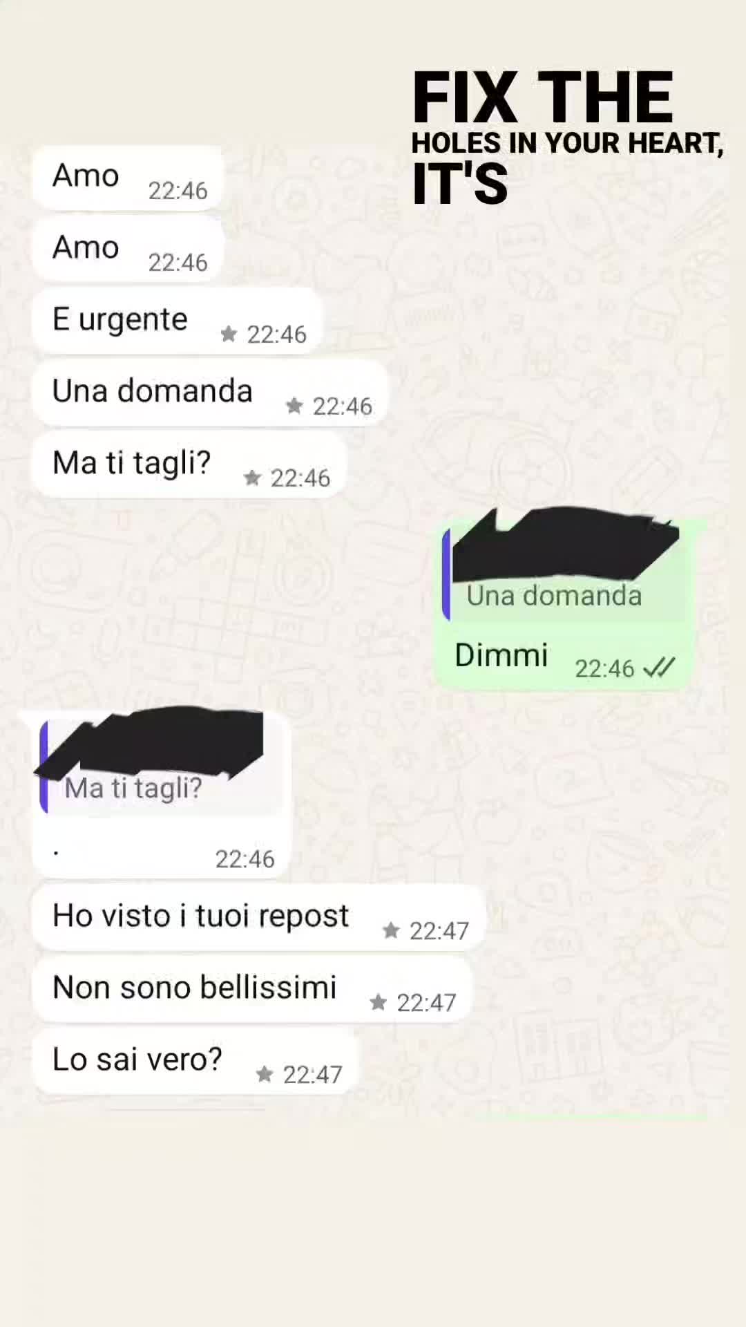 @account.sfogo8
