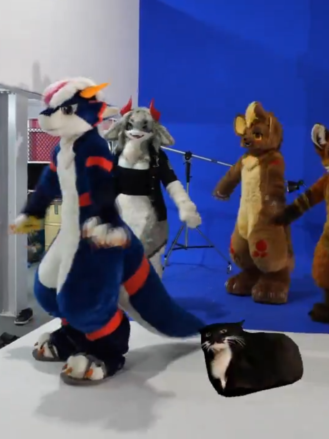 @radywolf