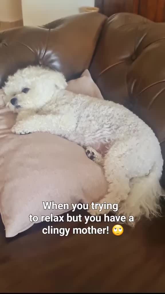 @Luna