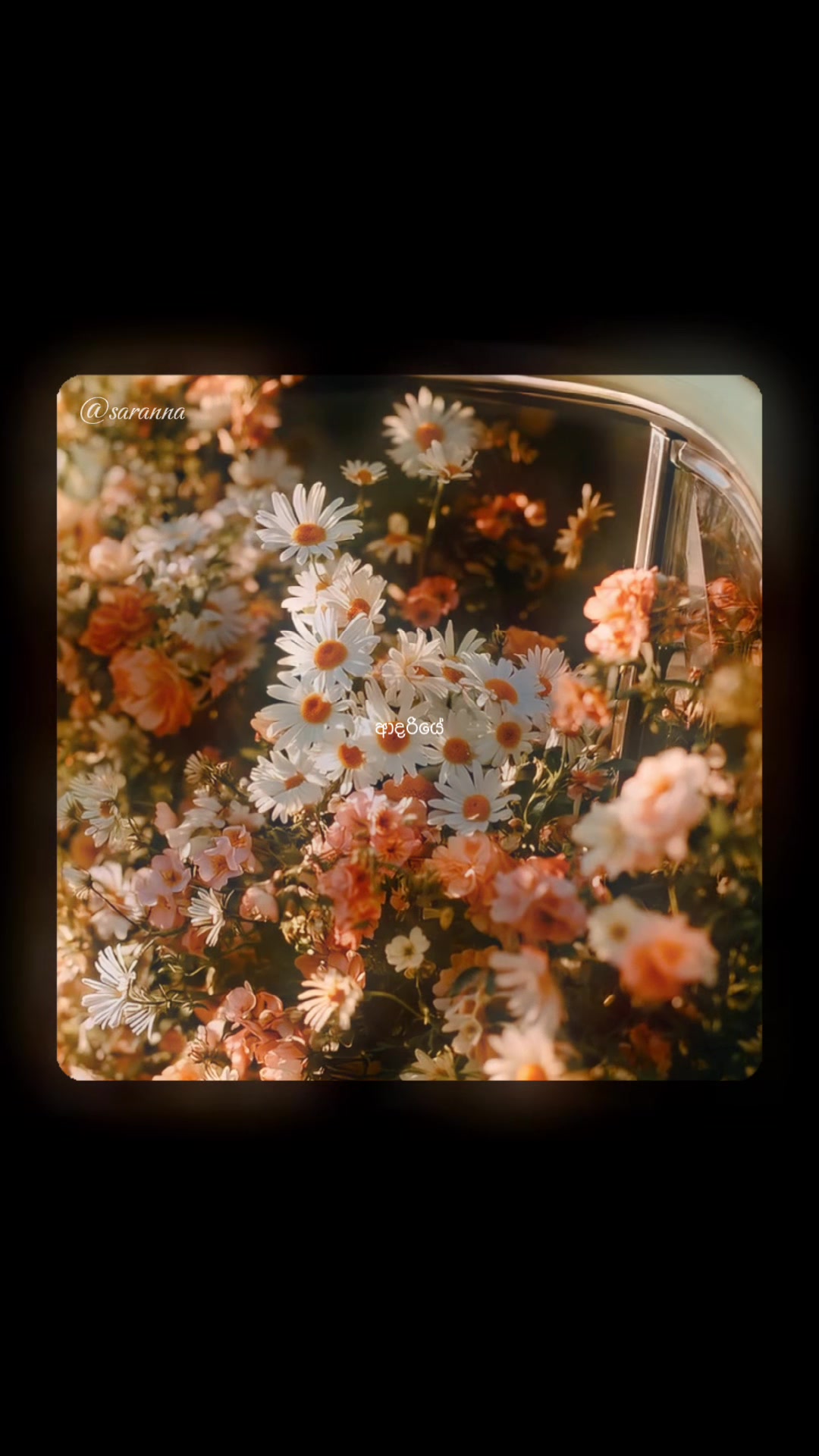 @•𝗦𝗮𝗿𝗮𝗻𝗻𝗮☁️
