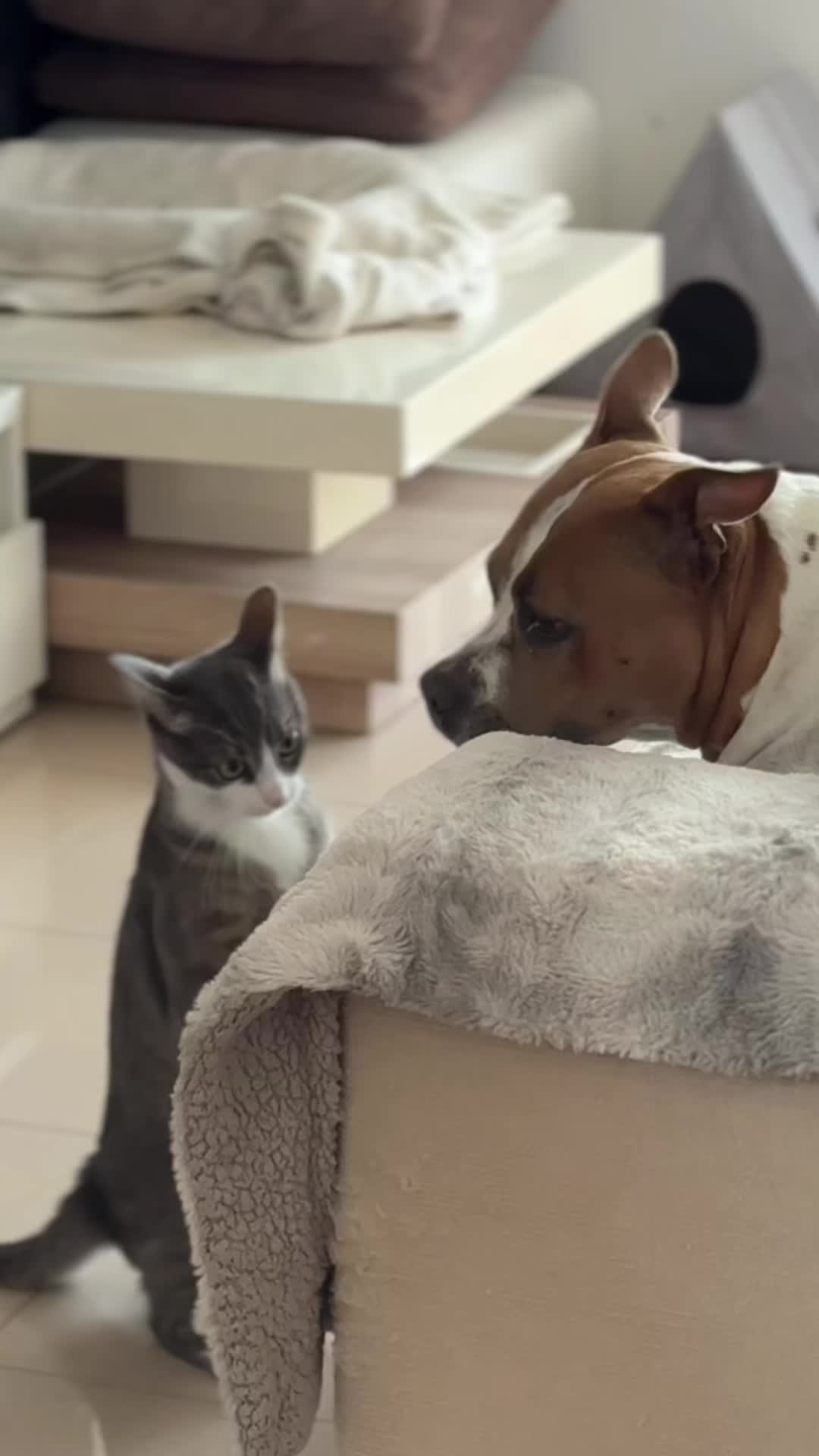 @Cuba y Lilo💖
