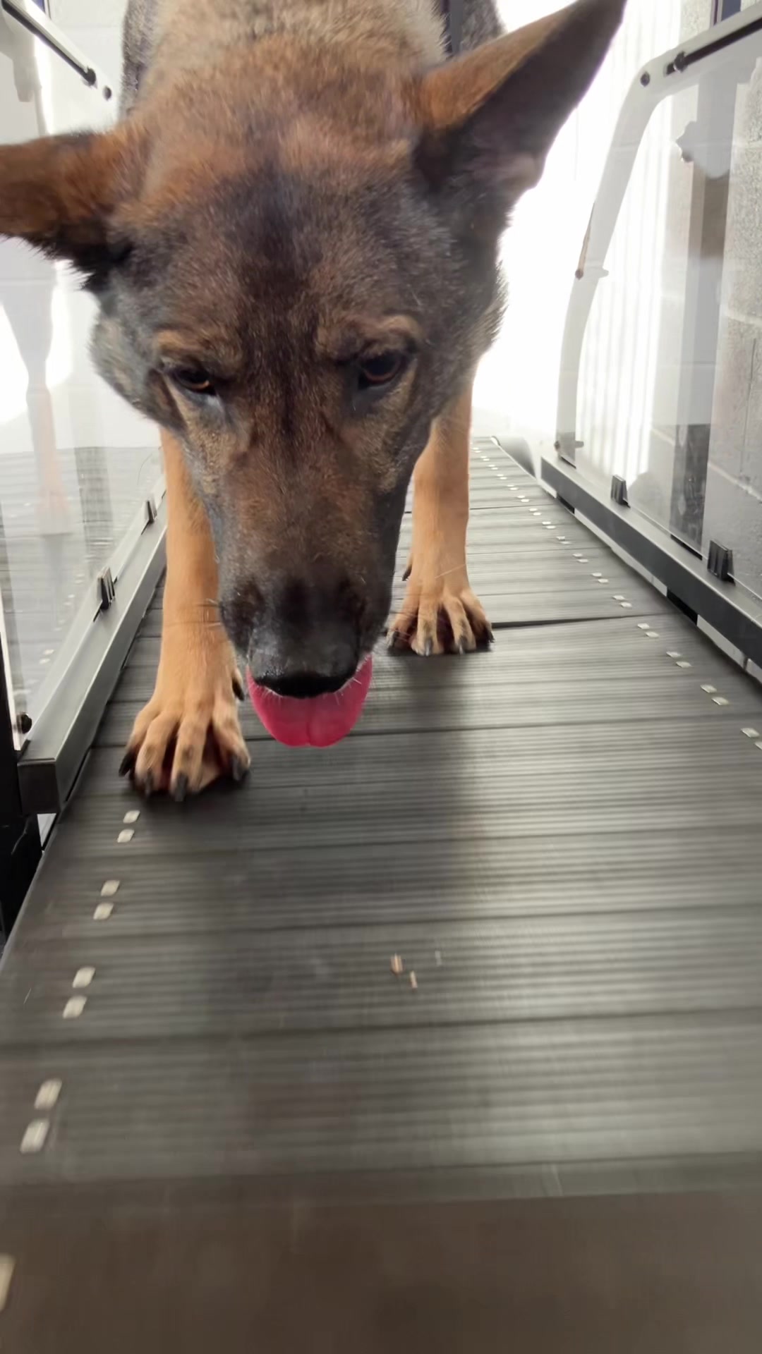 @Crazy GSD Lady