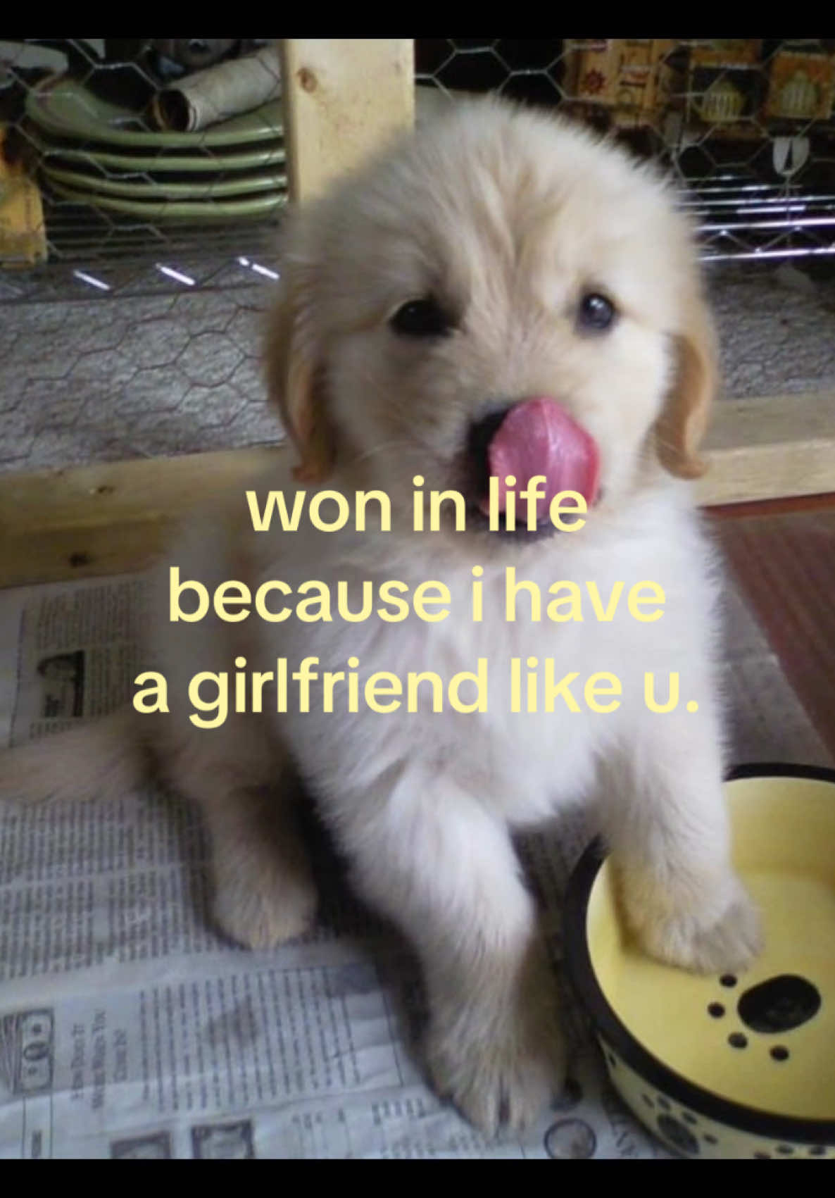 @iseenthisinmydream