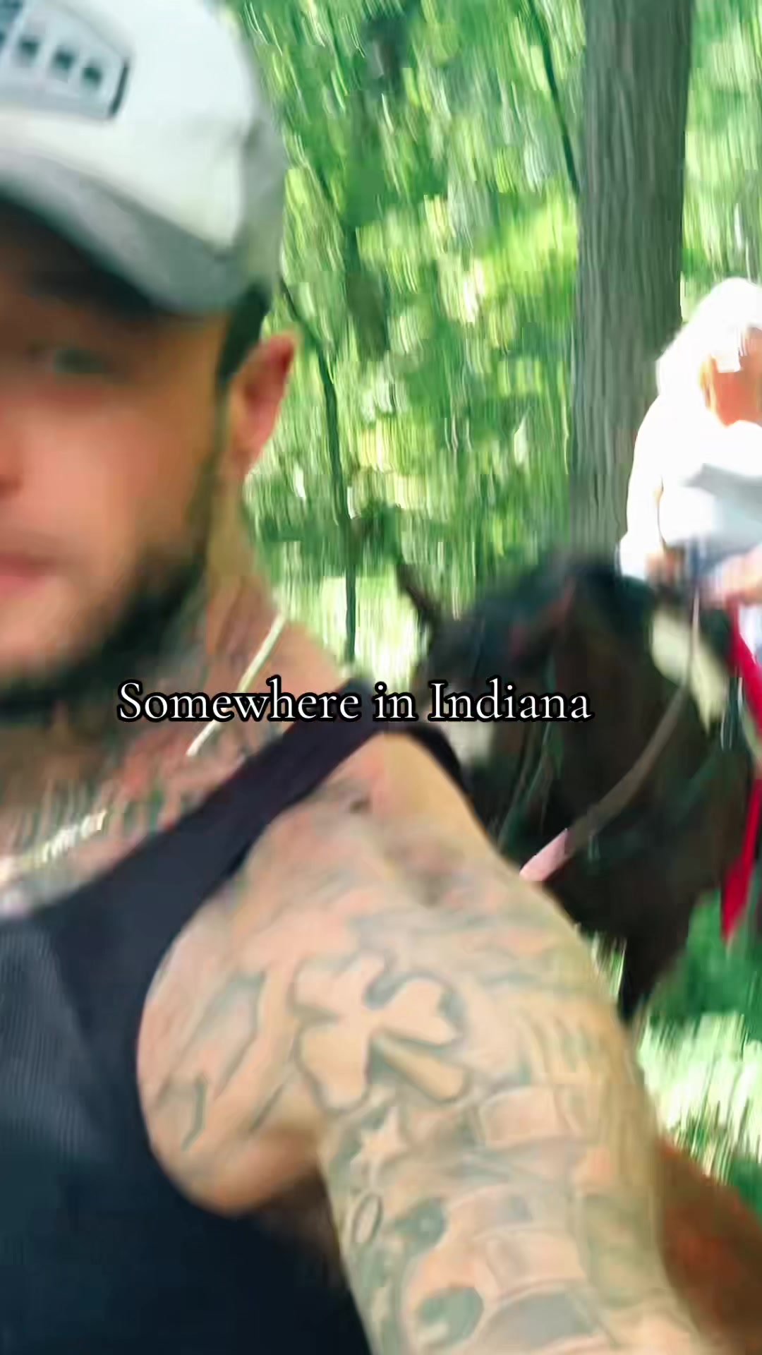 @Vanillagorilla🦍