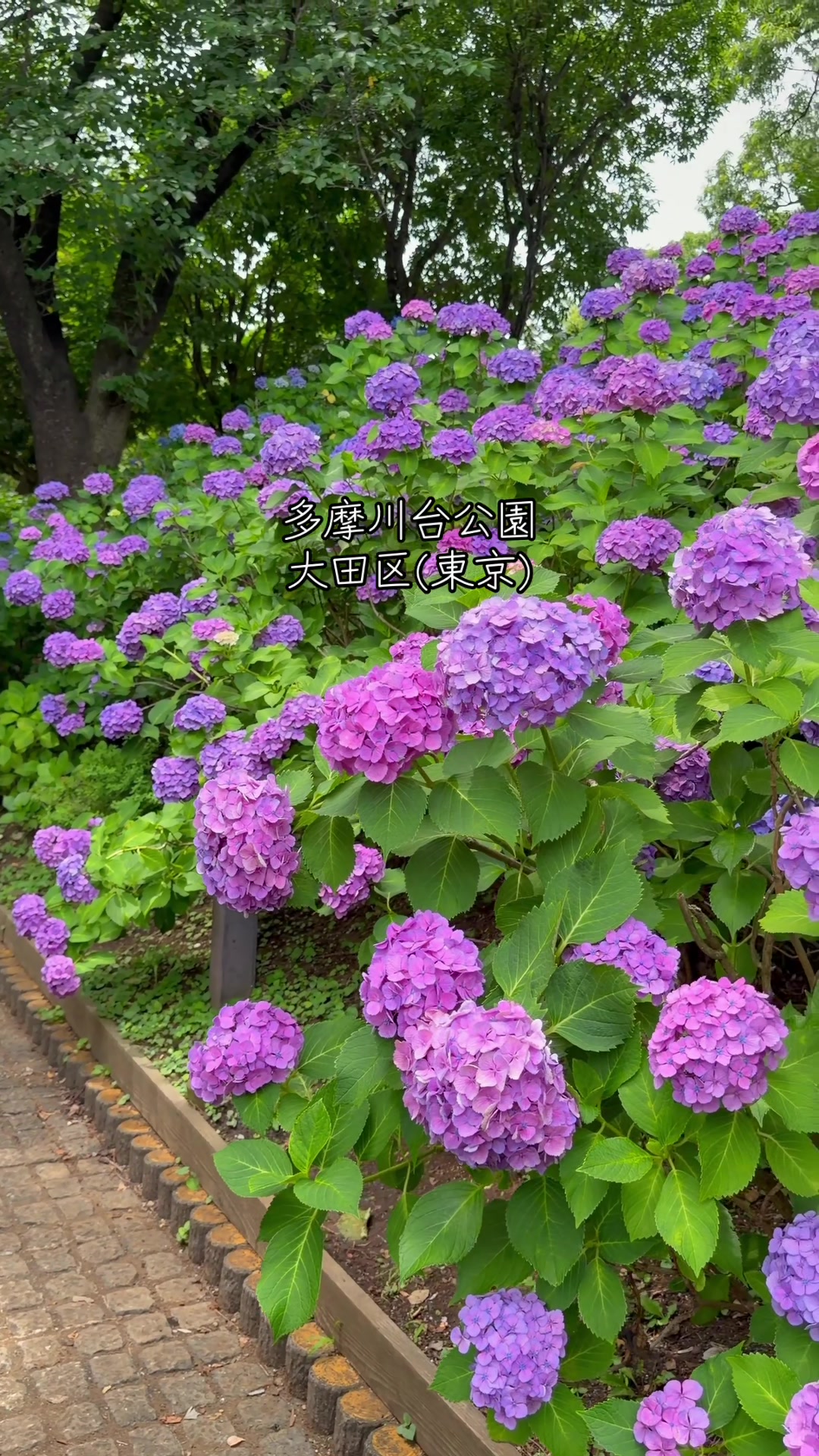 @riyoâšïžð«ð