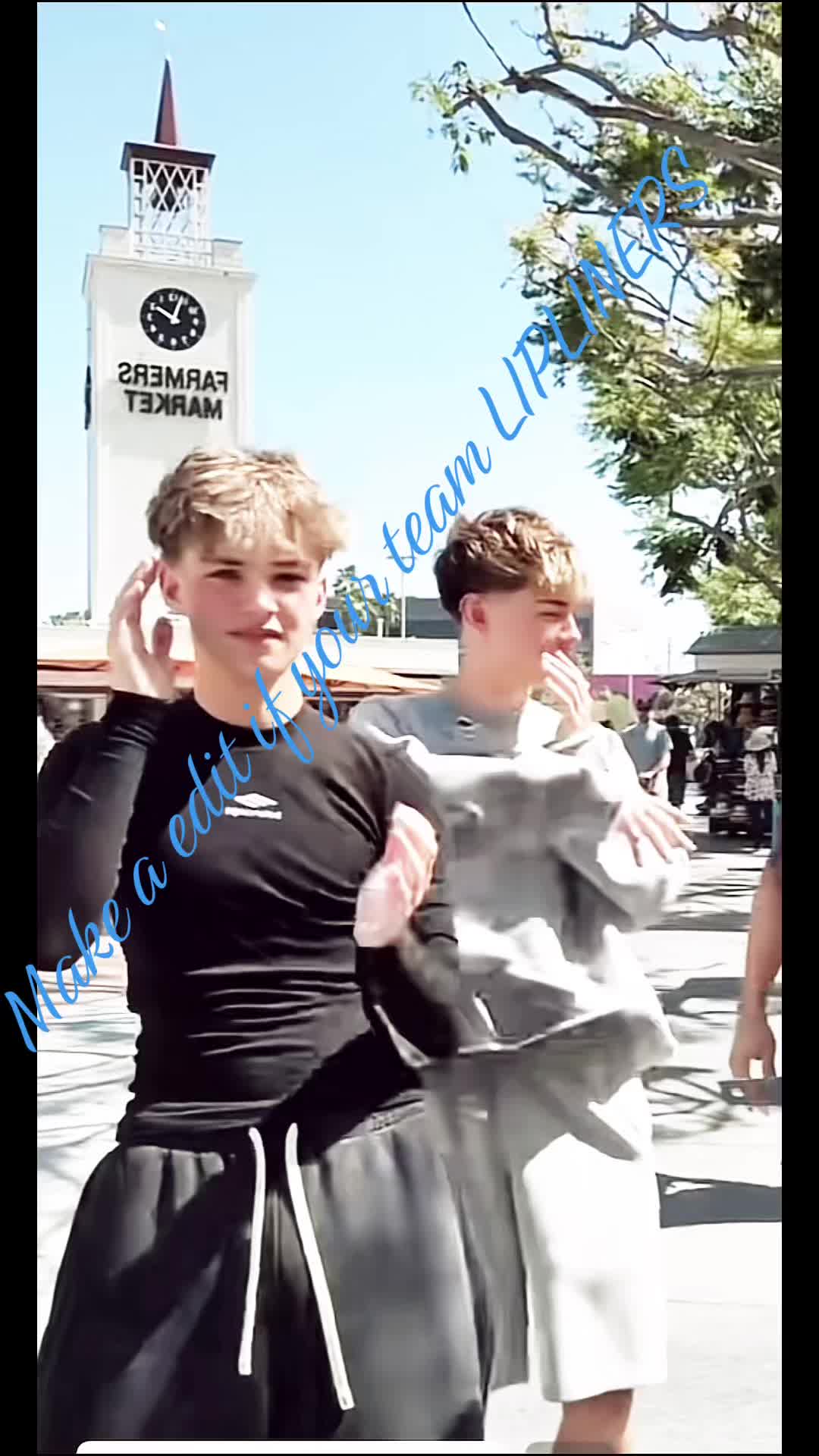 @TheSHIPPER