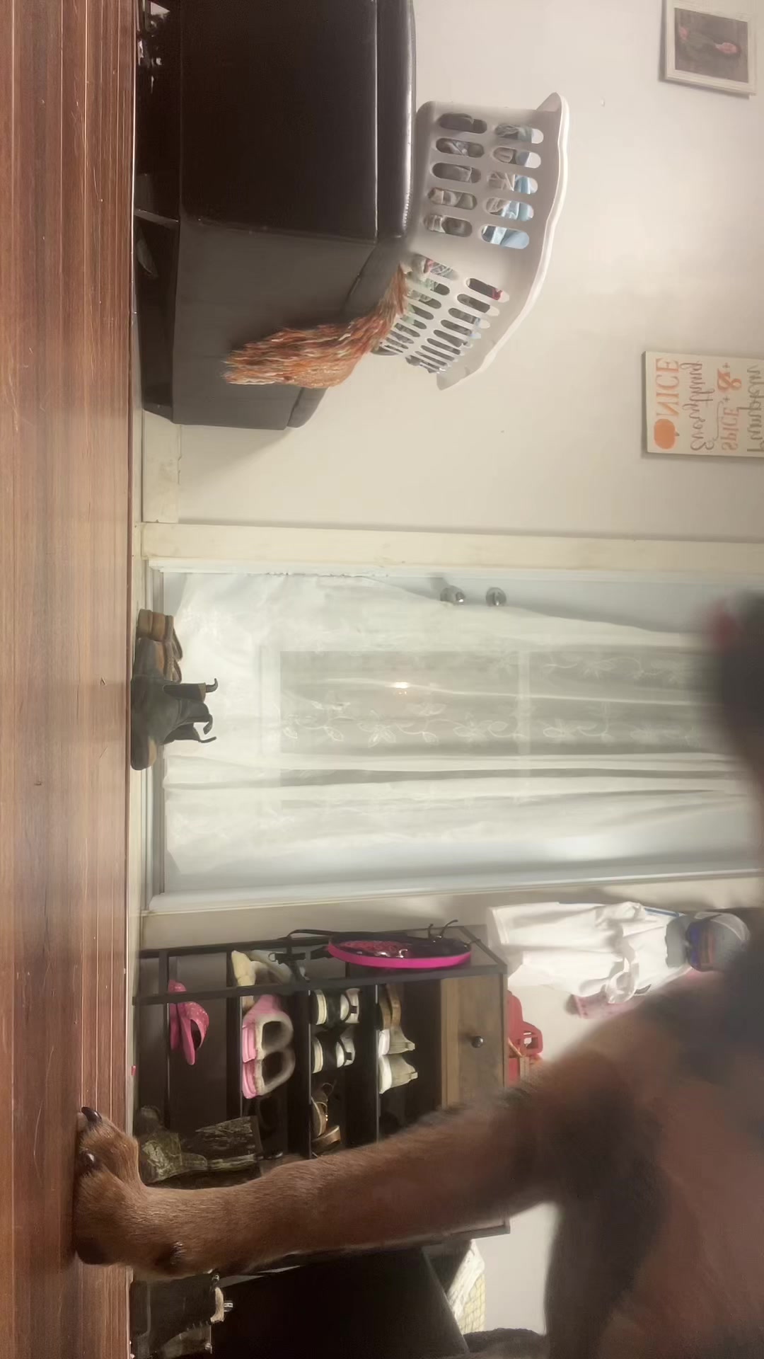 @🦌✧𝘓𝘱𝘴 𝘳𝘱✧🦌