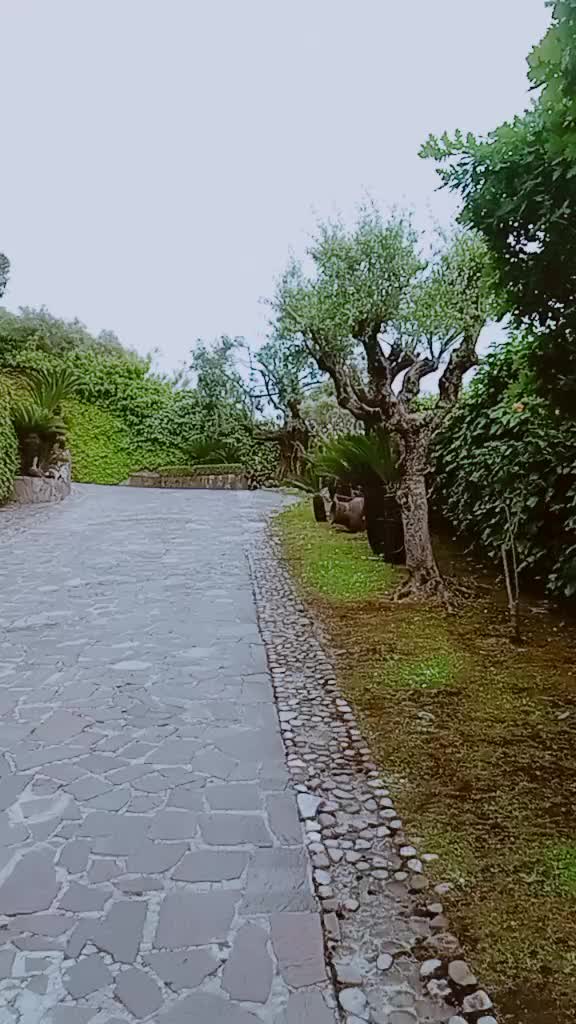 @❤️