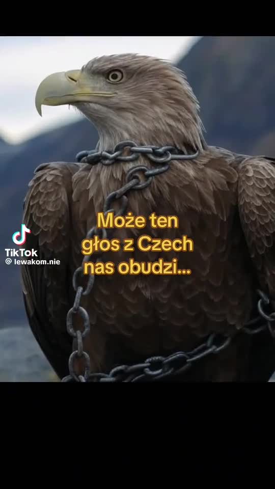 @Szajbus_92