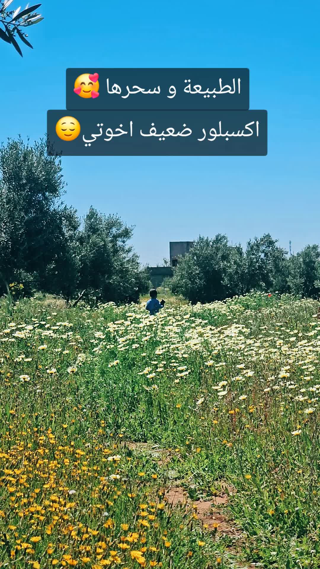 @abo.. iyad
