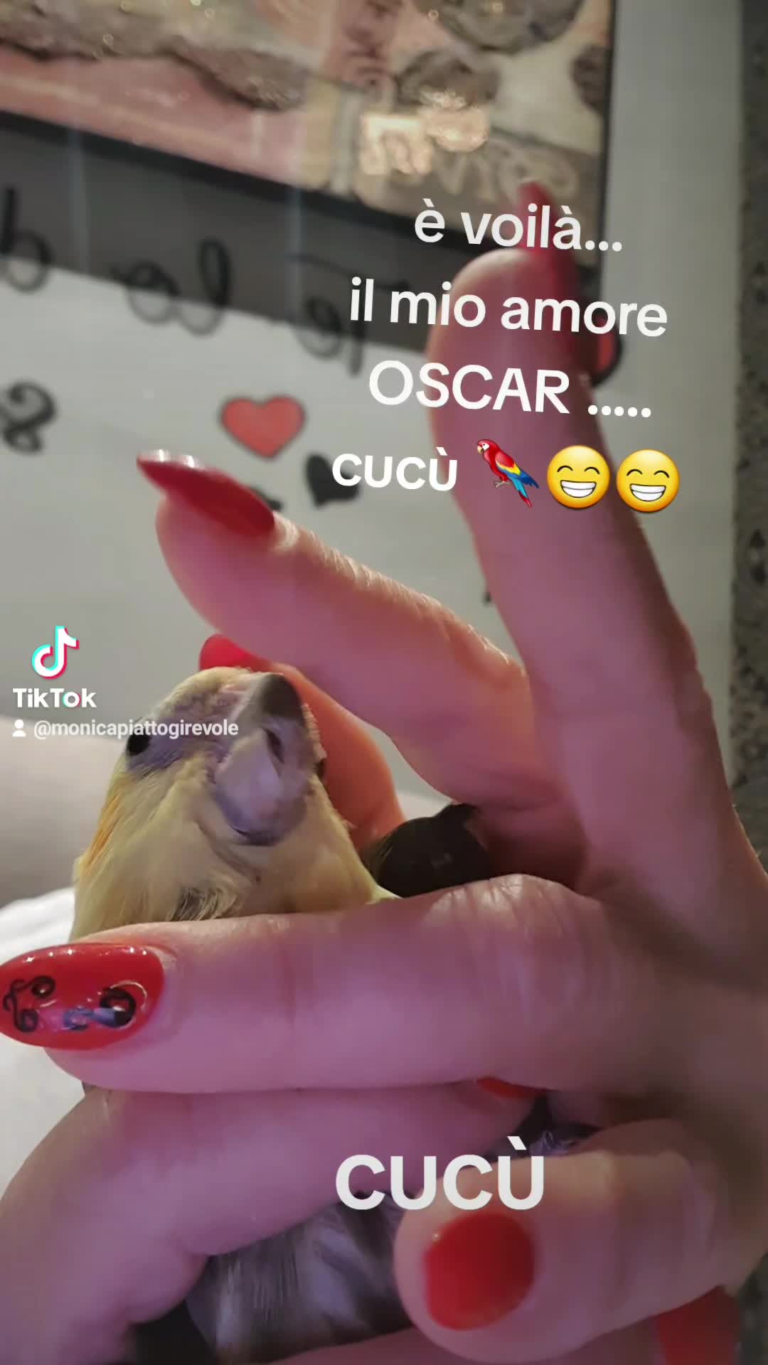 @monicapiattogirevole