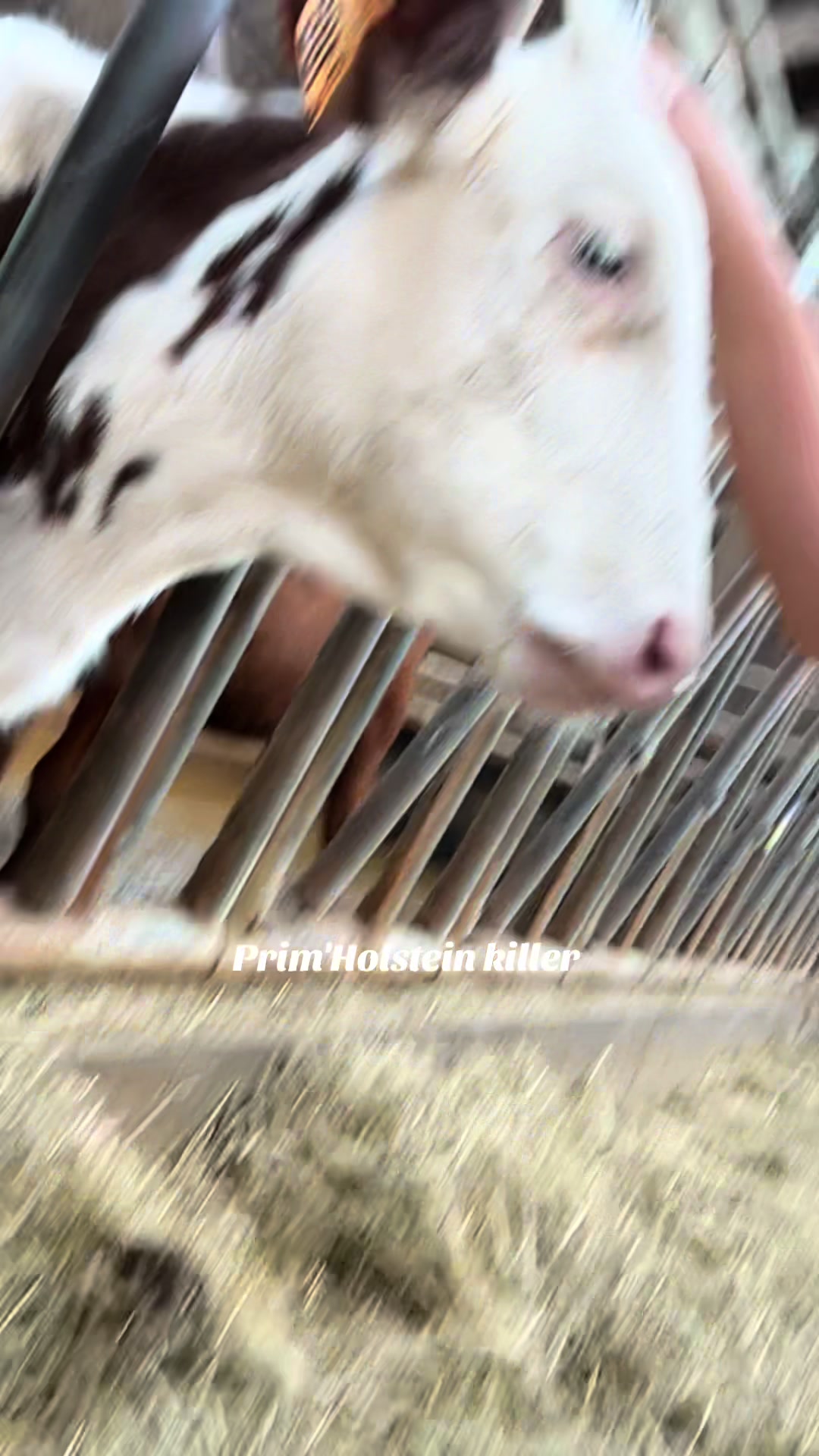 @ᗴᗰᗰᗩ🐬