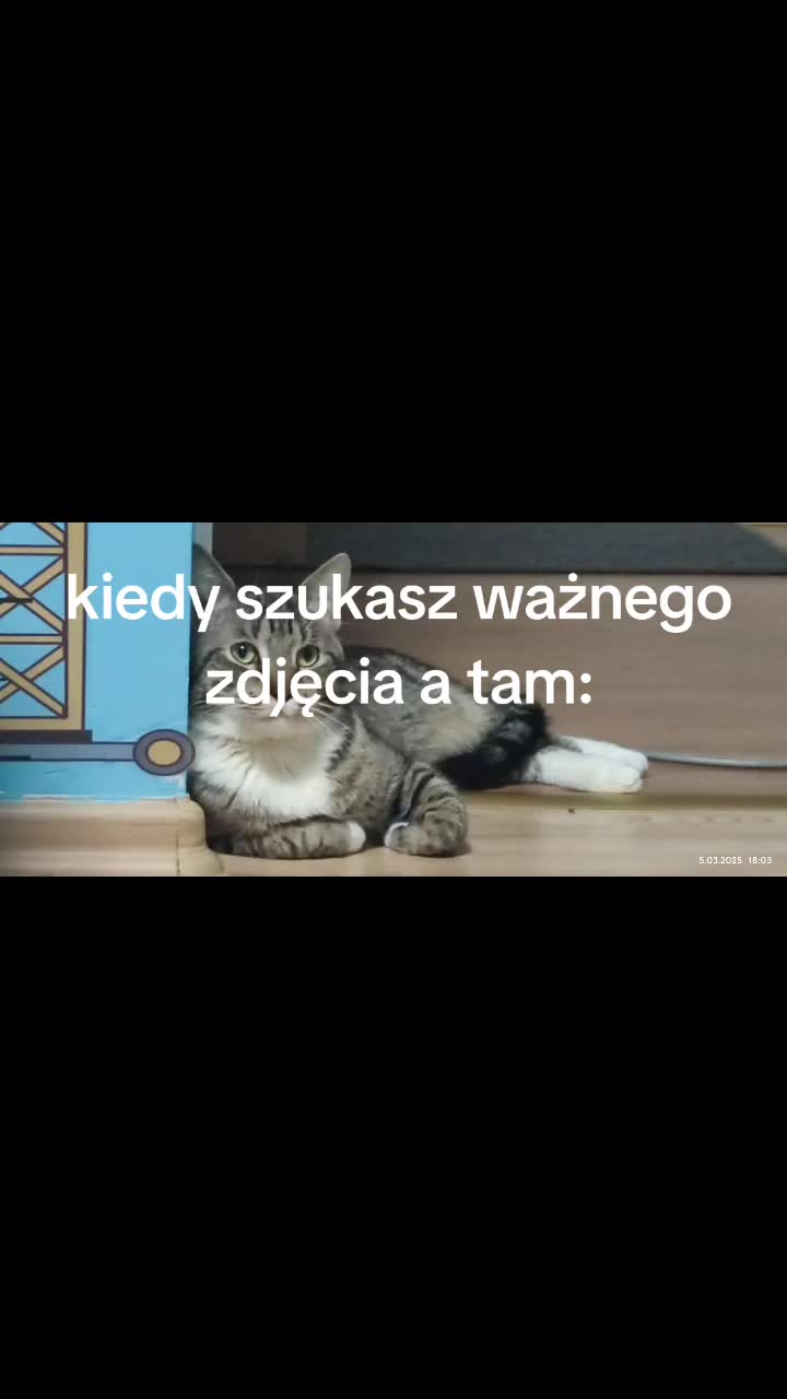 @(っ◔◡◔)っ &hearts;Katarzyna Venea030🍑