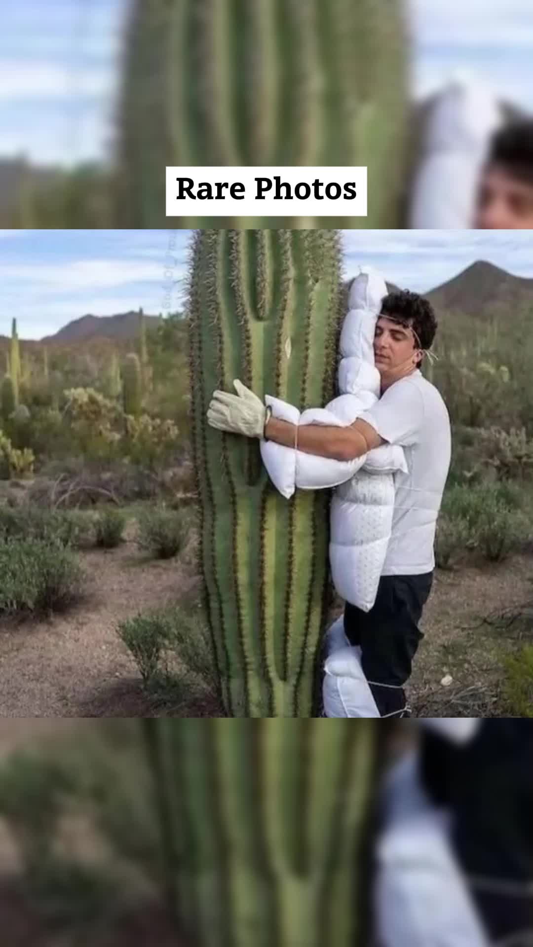 @OddlyAmazing