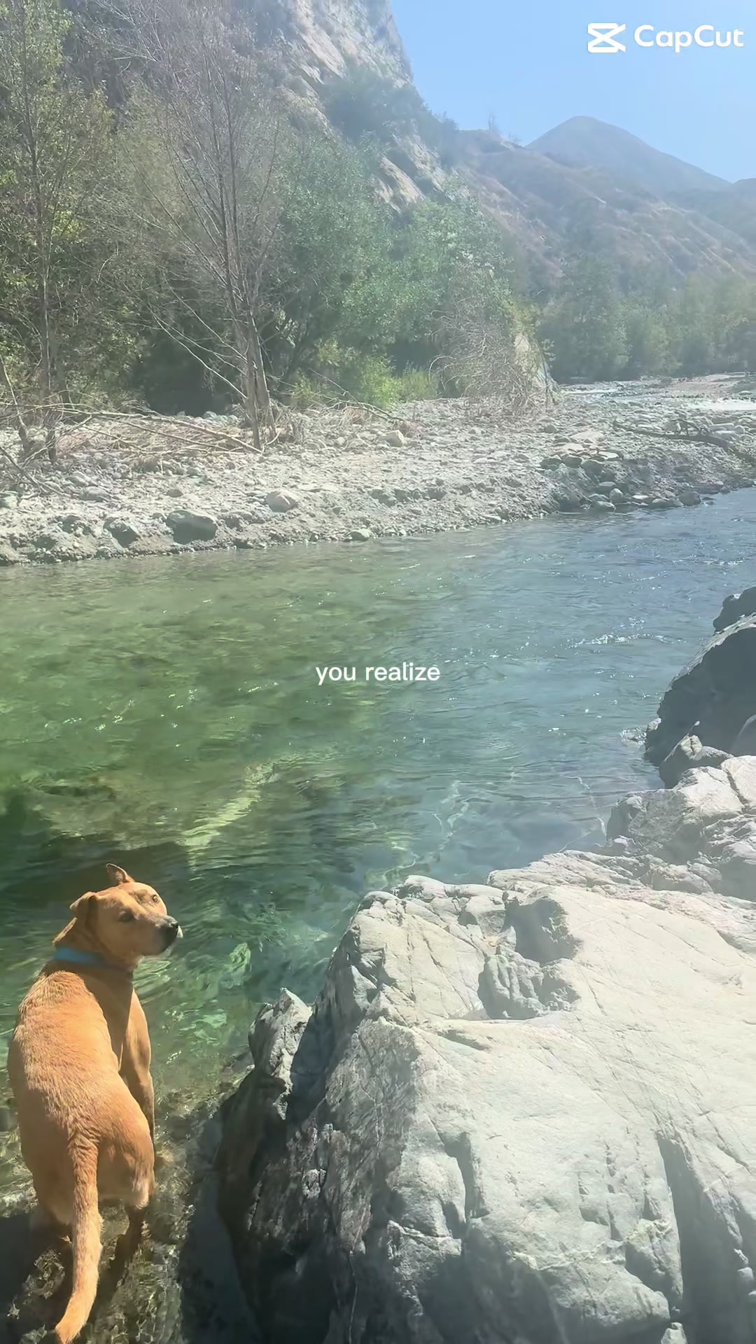 @Adventuresofmaxxandsandie