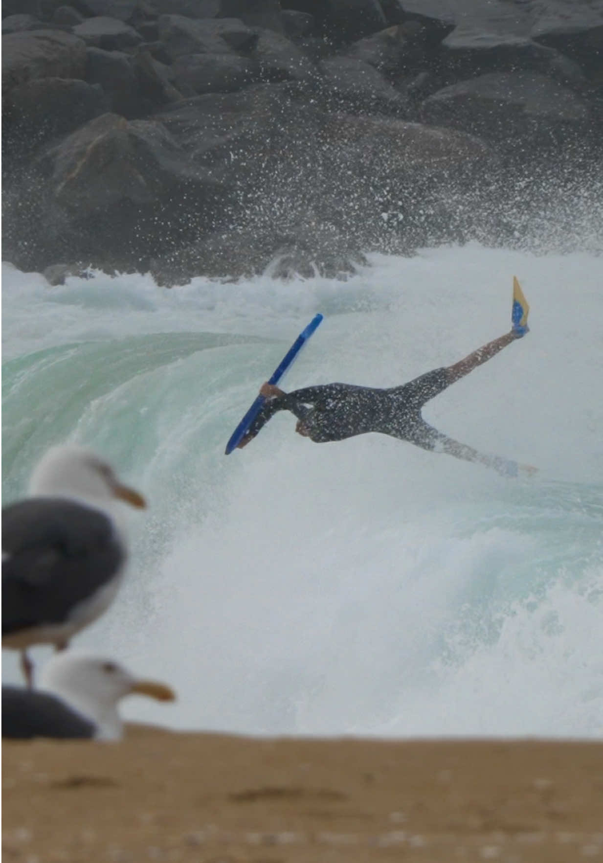 @I’m A Surfer, Dude