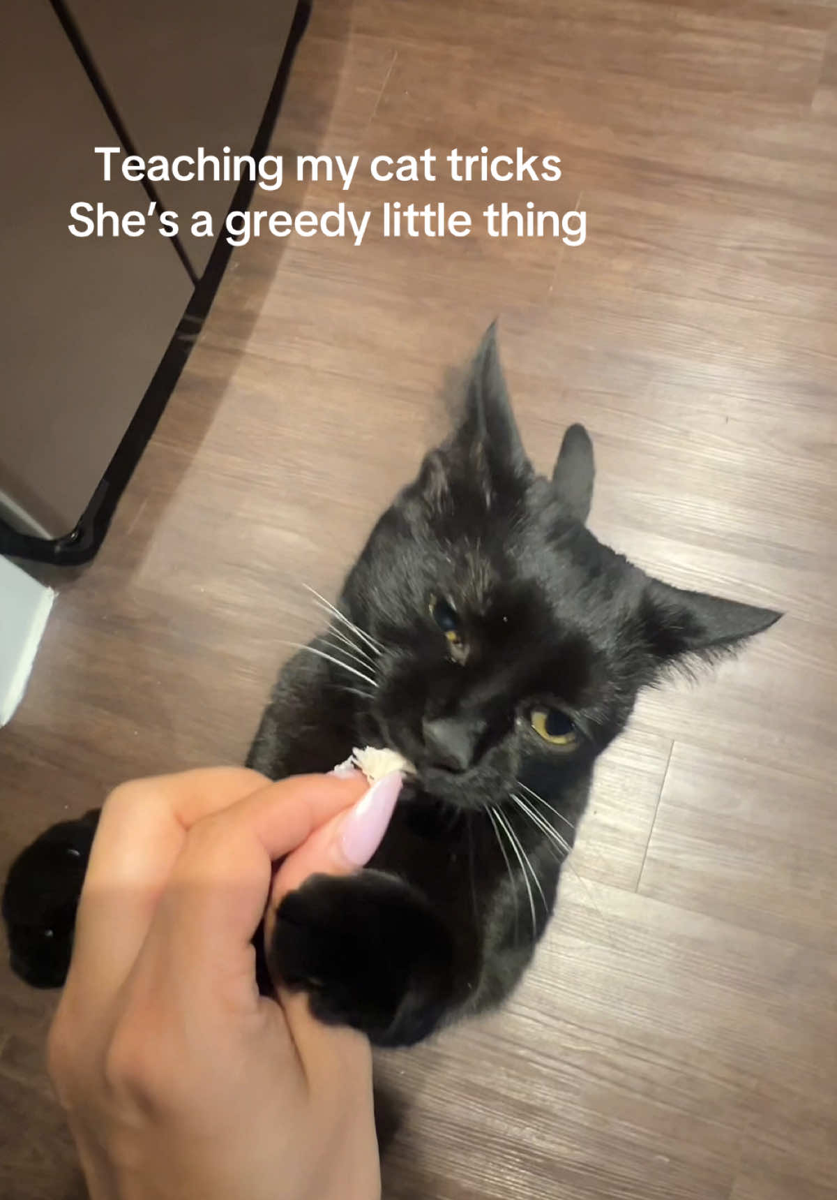 @Ceceee
