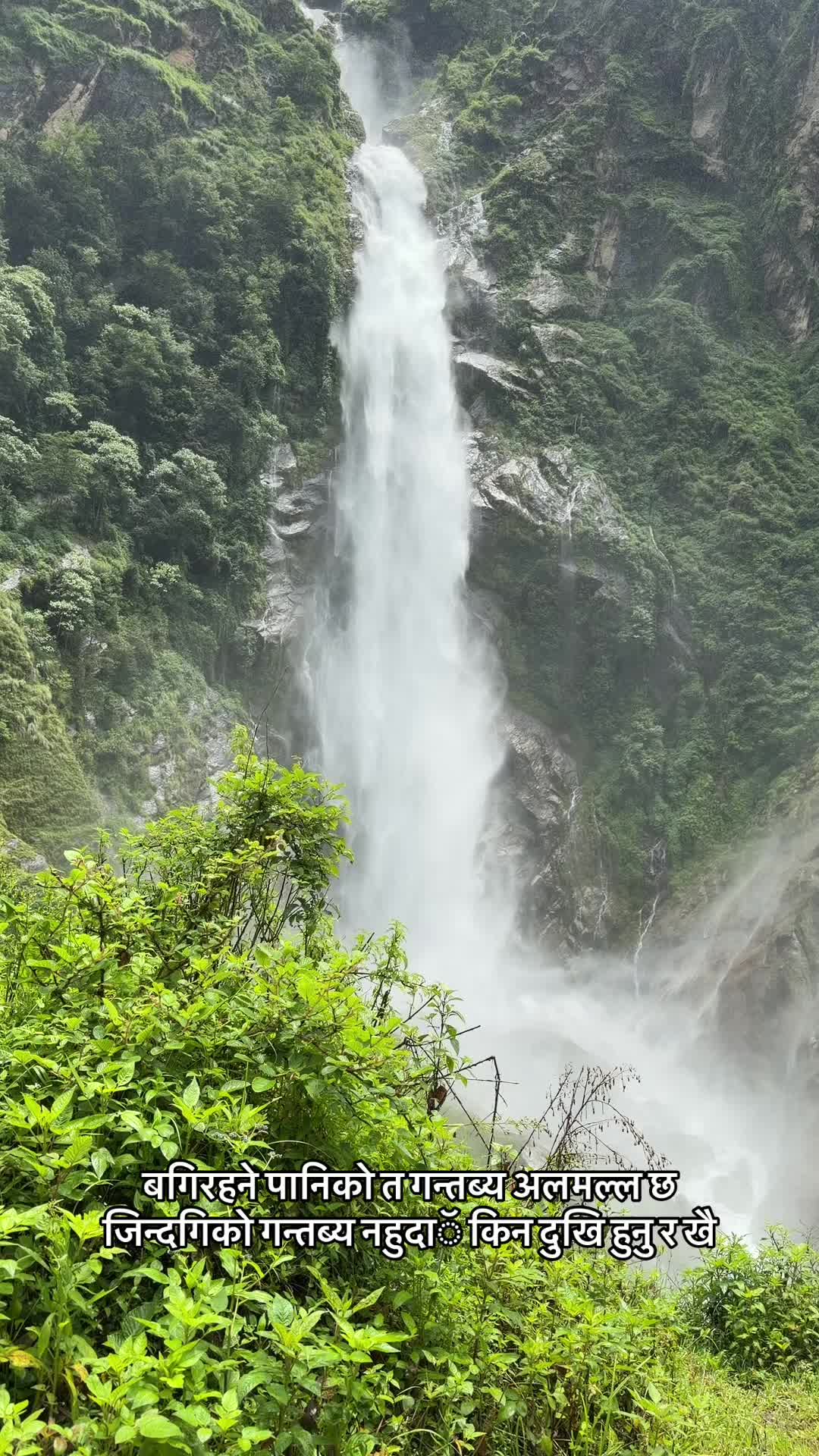 @Bijaya Nepal
