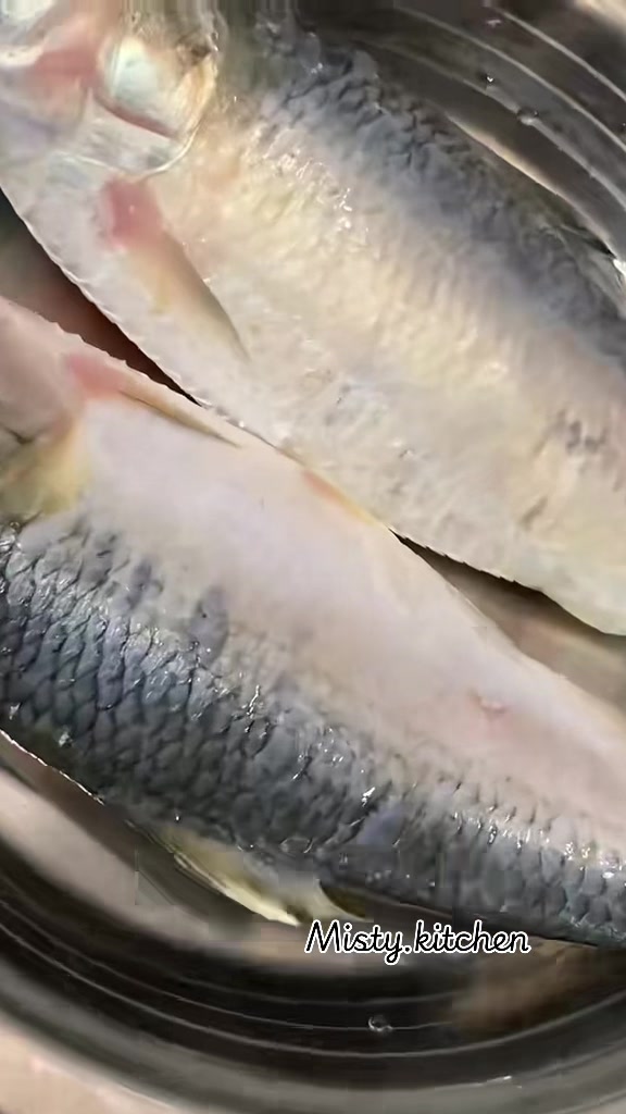 @๐จ๐ด๐๐๐๐ ๐๐๐๐๐๐๐๐ซ