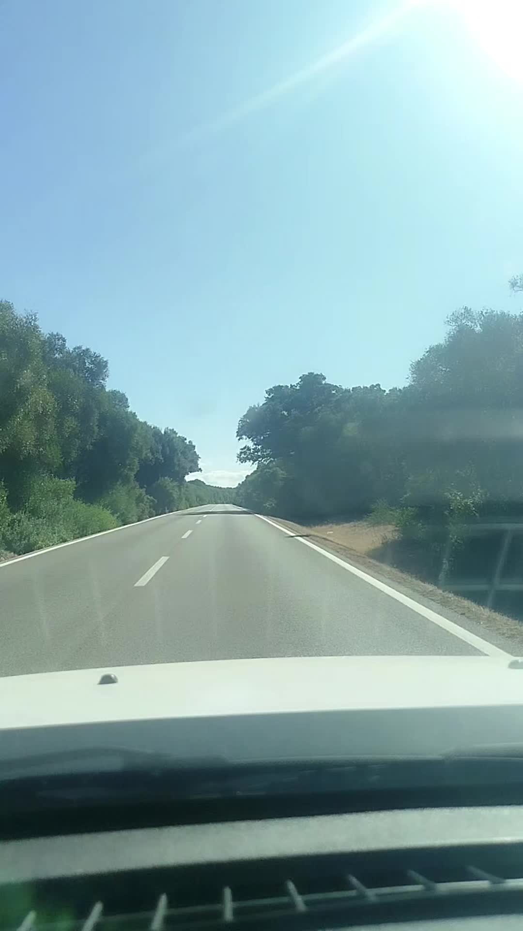 @Susana Blanquer
