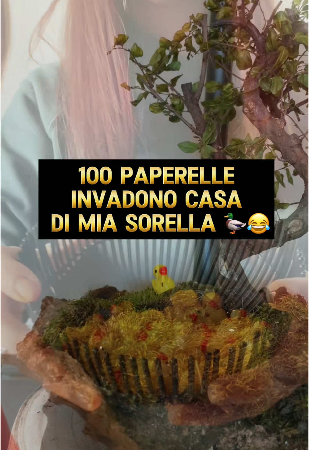 @iamceciliarizzoli