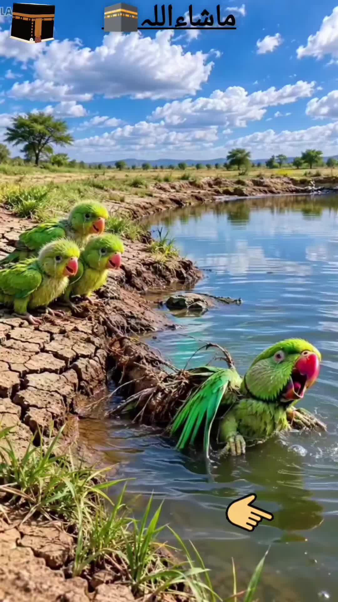 @FARAZ ALI 512