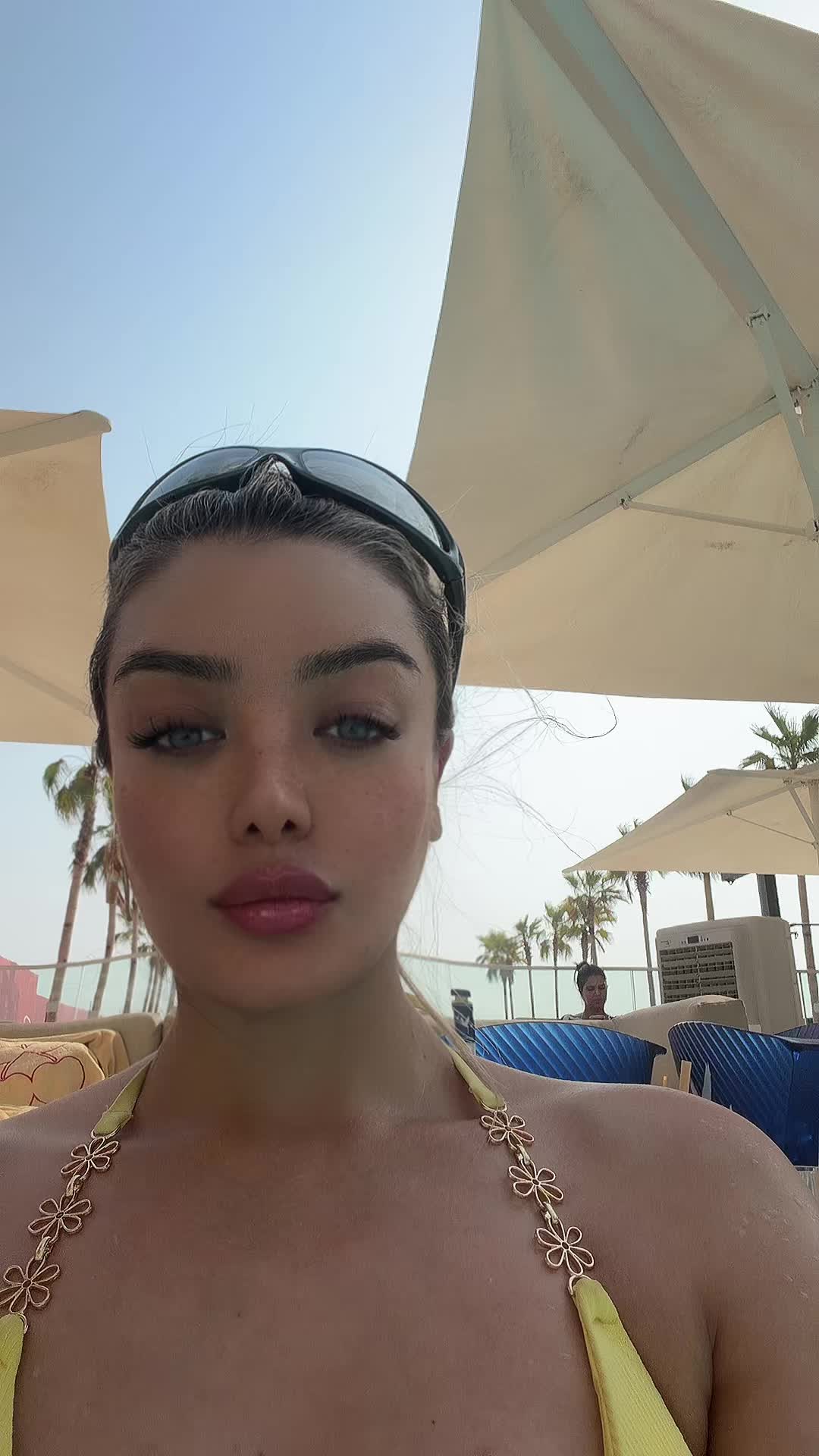@baharkakhki